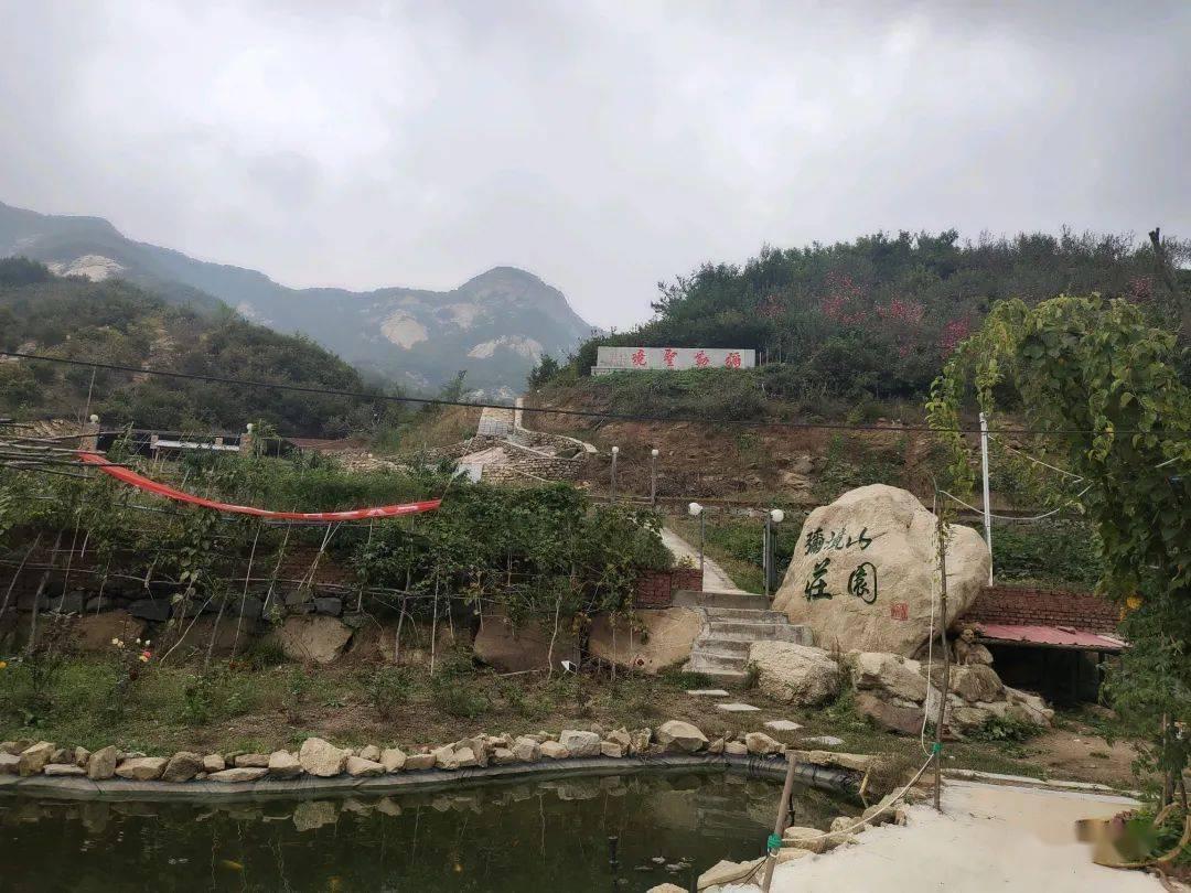 小僵尸射飞鸟