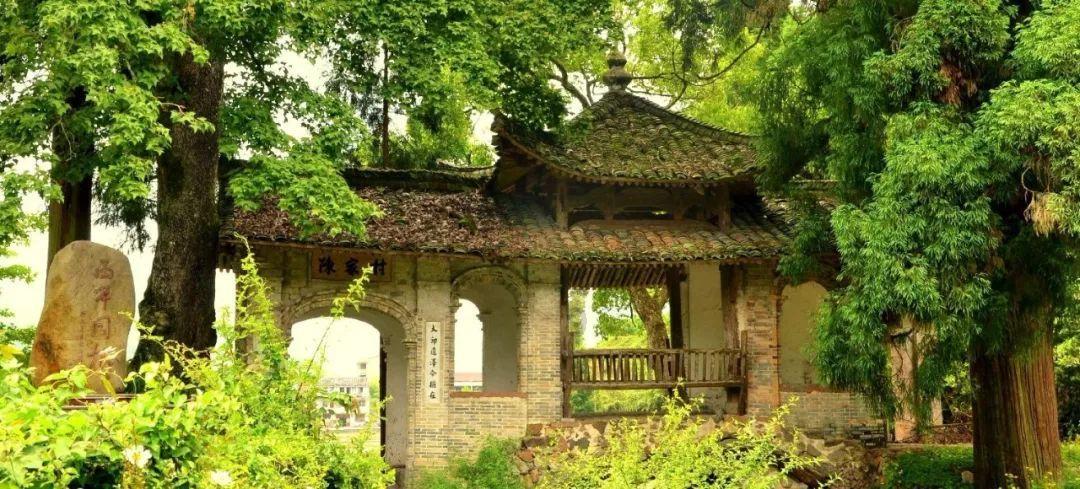 山西晋中：男子不慎坠入废弃地窖，消防员调用挖掘机救援